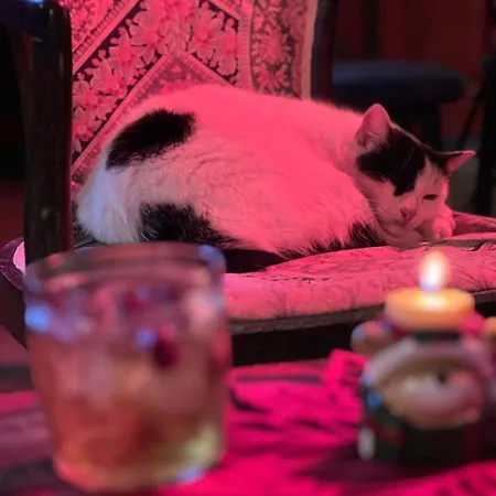 ホテル Arcadia Garden *