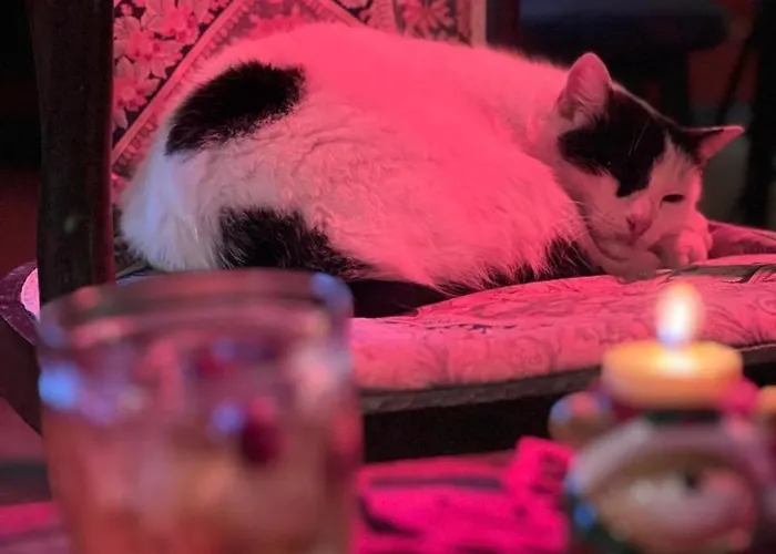 ホテル Arcadia Garden *